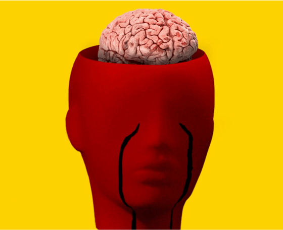 Portfolio Image 3